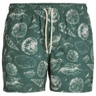 Mallard Green